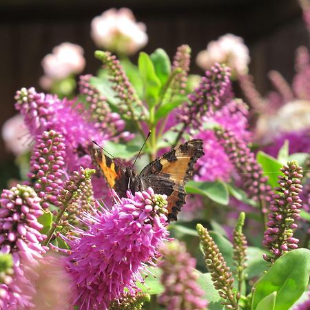 Birkende Bed And Breakfast Langeskov 외부 사진