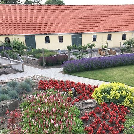 Birkende Bed And Breakfast Langeskov 외부 사진