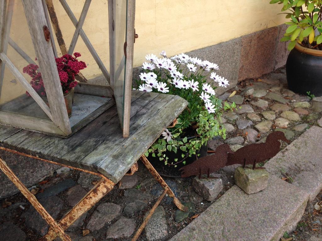 Birkende Bed And Breakfast Langeskov 외부 사진