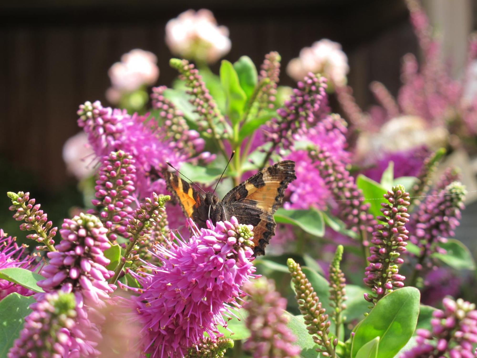 Birkende Bed And Breakfast Langeskov 외부 사진