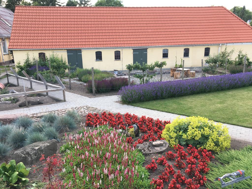 Birkende Bed And Breakfast Langeskov 외부 사진