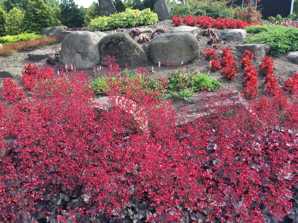 Birkende Bed And Breakfast Langeskov 외부 사진