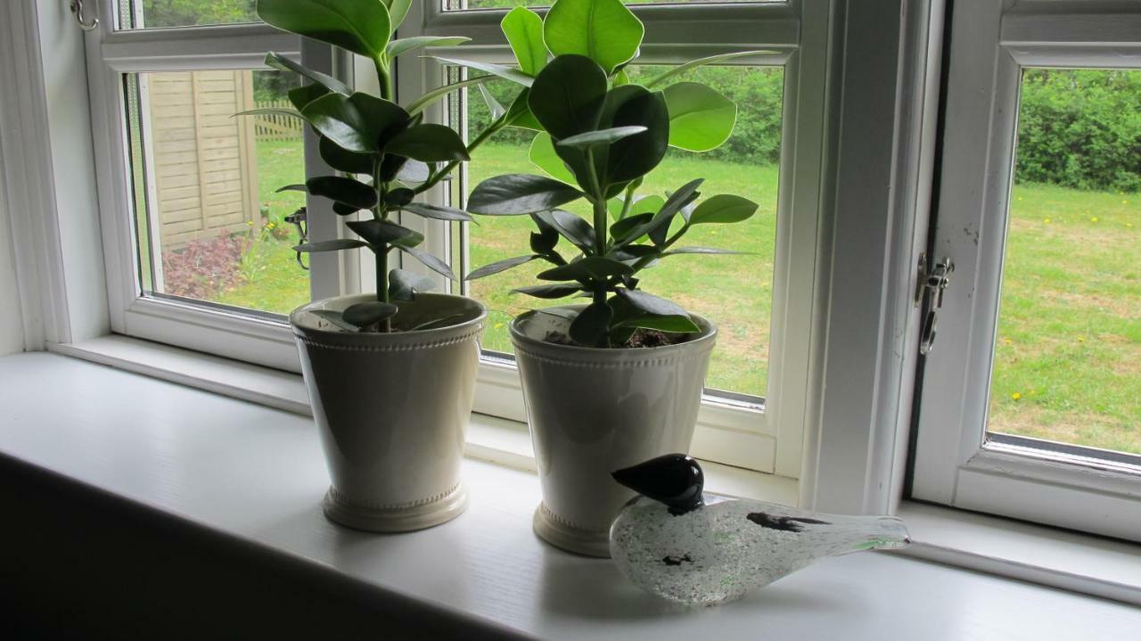 Birkende Bed And Breakfast Langeskov 외부 사진